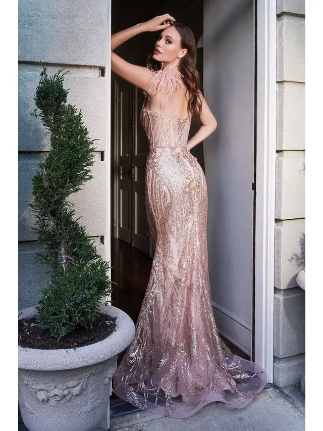 CACHE THE HOUSE OF DRESSES