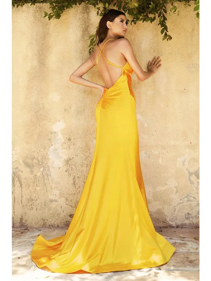 Eveningdresses | CACHE THE HOUSE OF DRESSES